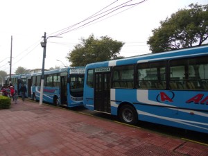 Sesión en el Concejo busca normalizar el servicio de transporte