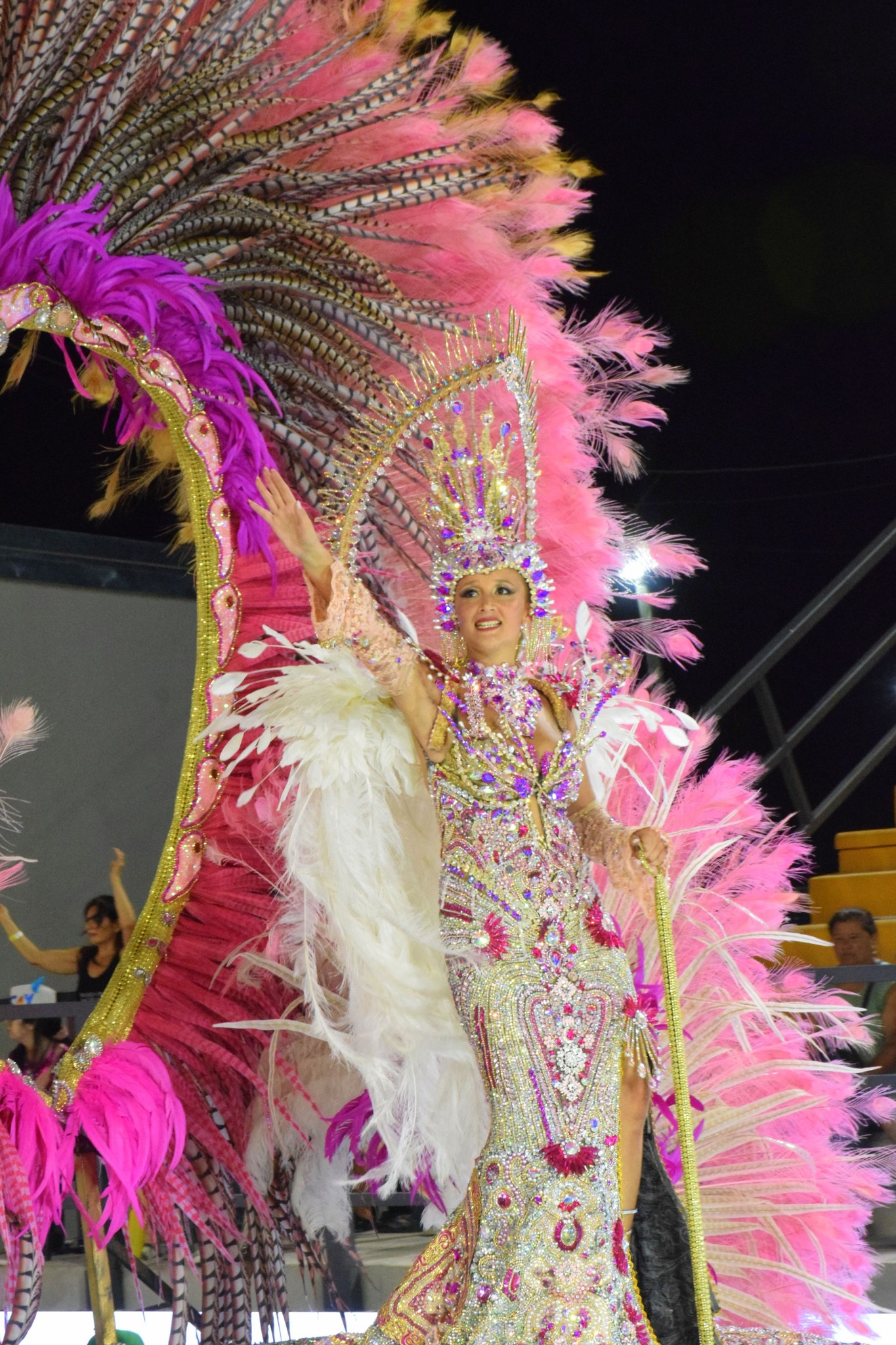 Embajadora Provincial del Carnaval