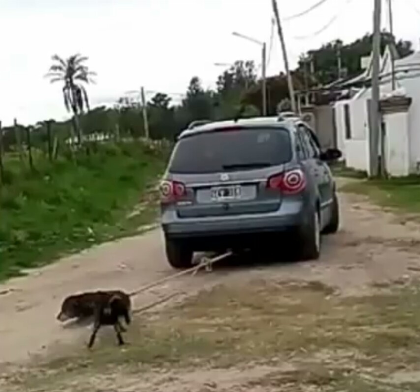 Detuvieron a Ibáñez, el hombre que arrastró a un perro enfermo atado a su auto