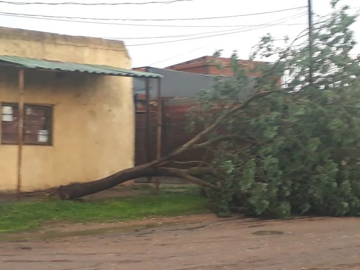 Fuerte tormenta en Mocoretá dejó postes y árboles caídos