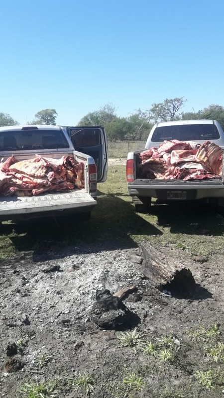 Decomisaron más de 800 kg de carnes en Esquina