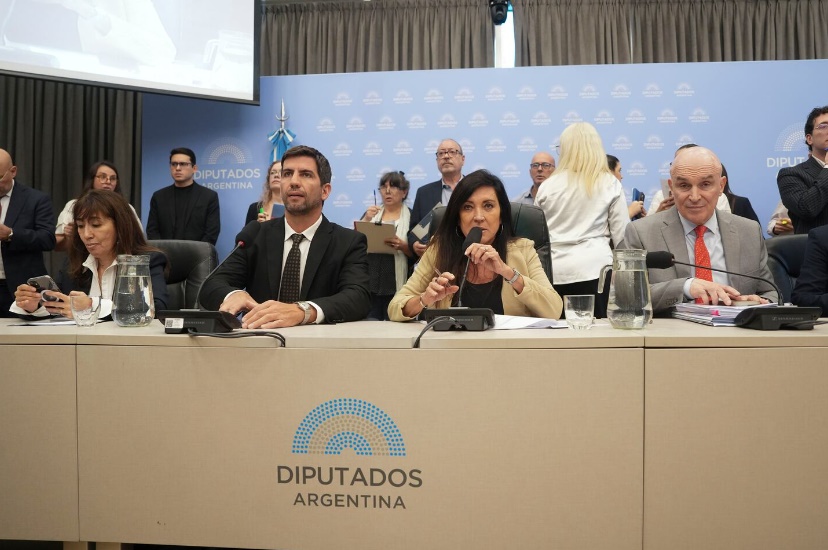 Baja de la edad de imputabilidad a los 14 años: el proyecto tiene dictamen, pero el Congreso no lo trata