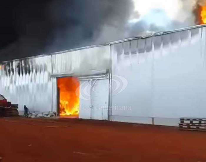 Fuego en Playadito: "Se quemaron 3 millones de kilos de yerba"