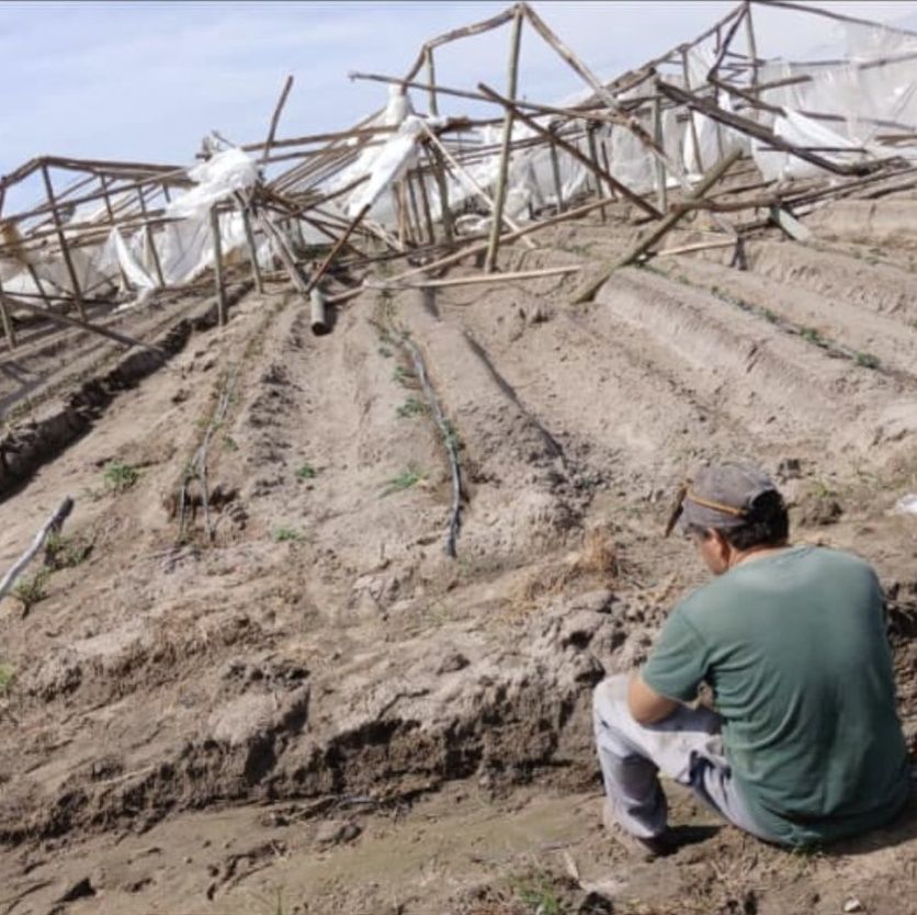 Graves destrozos en establecimientos rurales de Corrientes por el temporal