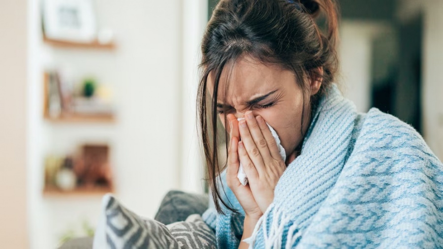 Brote de gripe H3N2: cómo podría impactar la variante K en Argentina