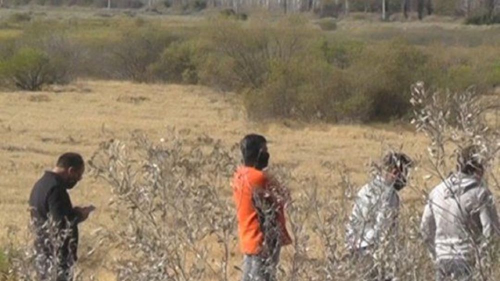 Macabro: encuentran cadáver de hombre empalado en una casa abandonada