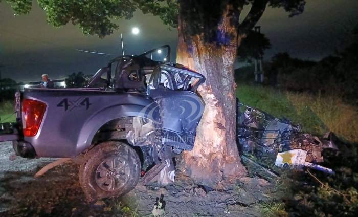 Camioneta despistó y chocó contra un árbol: murió el acompañante