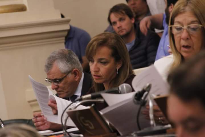 Es Ley el proyecto de la diputada Mancini para la creación del Juzgado de Familia en Esquina