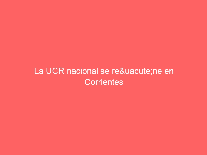 La UCR nacional se reúne en Corrientes