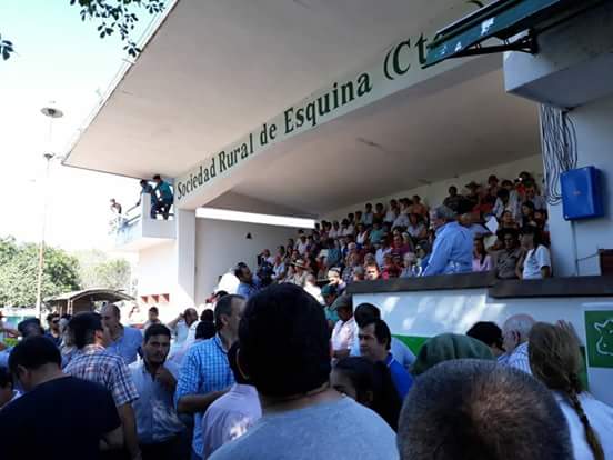 Remate de pequeños y medianos productores, organizado por el Gobierno provincial.