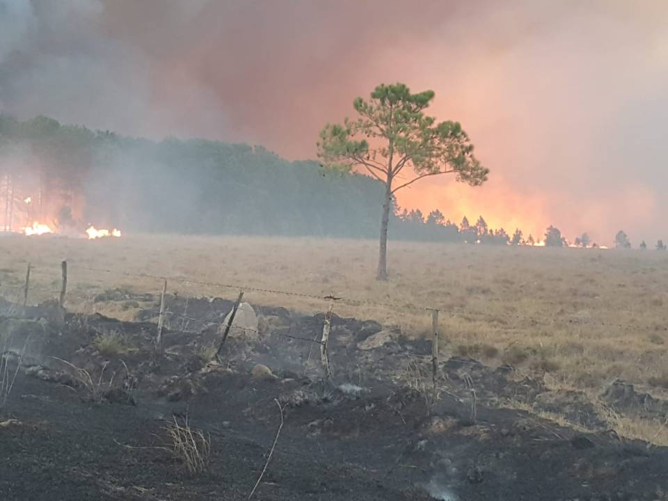 Hasta las lágrimas: empresario correntino relata el gran incendio de origen intencional que sufrió su paraje