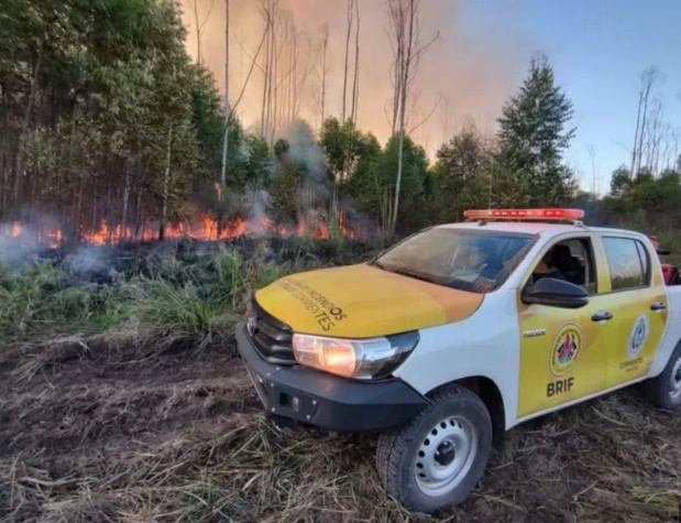 Incendios: más de 94.000 hectáreas consumidas en lo que va del año