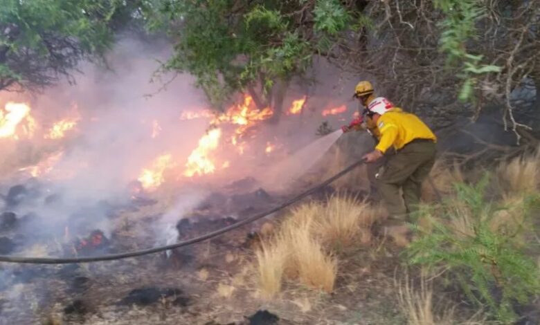 Motosierra: el Gobierno disolvió los fondos fiduciarios de infraestructura regional, manejo del fuego y el Fondep
