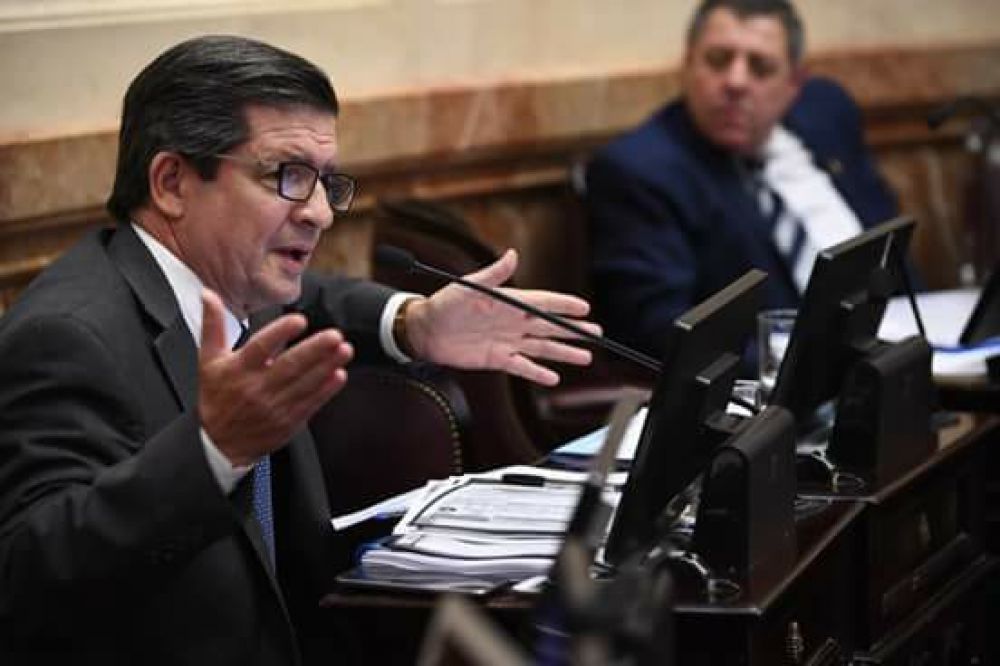 Braillard Poccard: debate sobre despenalización del aborto en el Senado