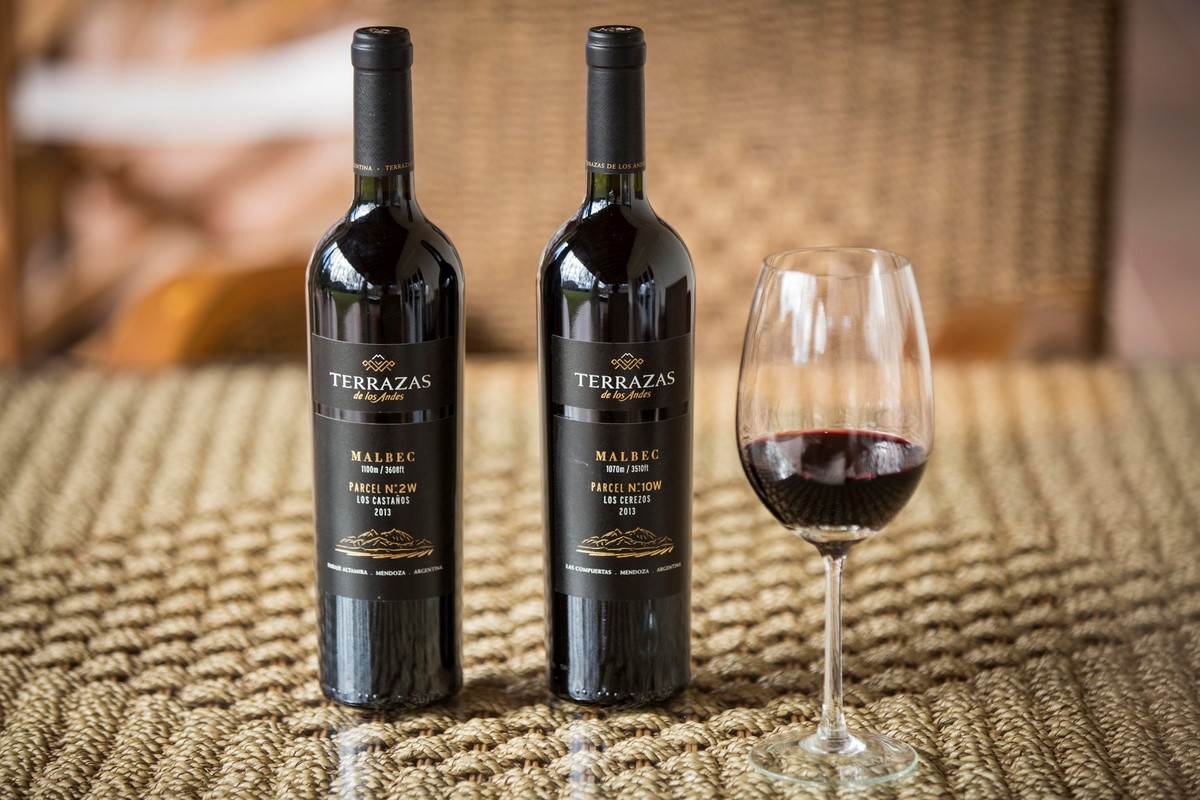 Día Mundial del Malbec: 9 vinos argentinos premiados para celebrarlo