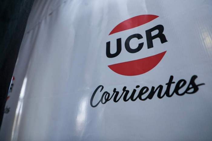Elecciones en la UCR: ya se puede consultar el padrón definitivo
