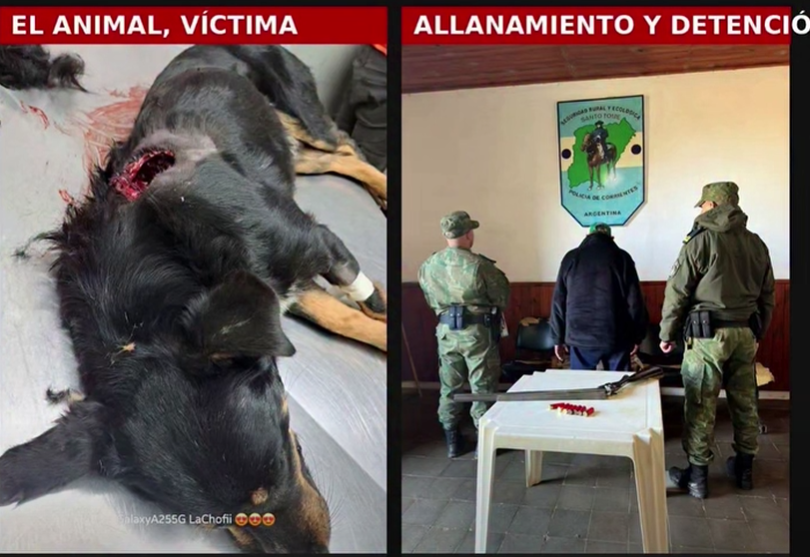 Detuvieron a un hombre acusado de matar de un escopetazo al perro de su vecino en Santo Tomé