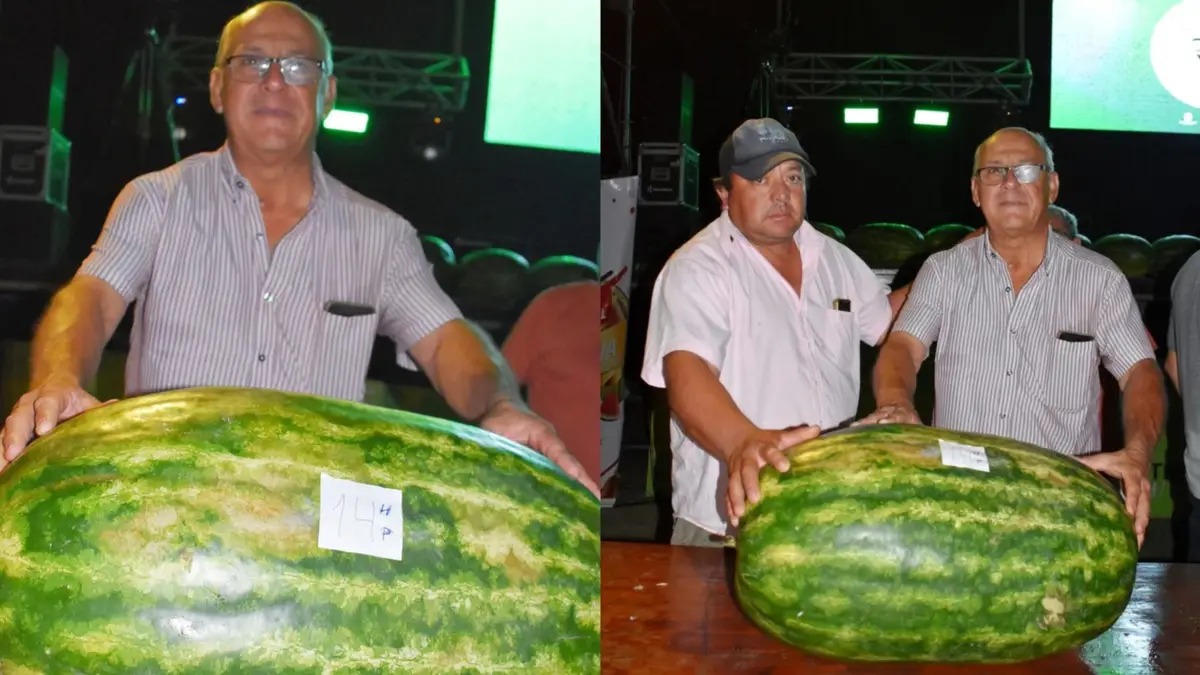 Cosechó una sandía de 41,8 kilos y ganó el concurso en la fiesta provincial