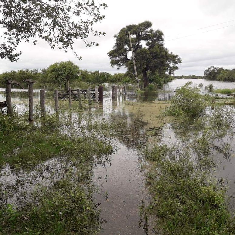 Valdés validó la emergencia agropecuaria mediante un decreto   