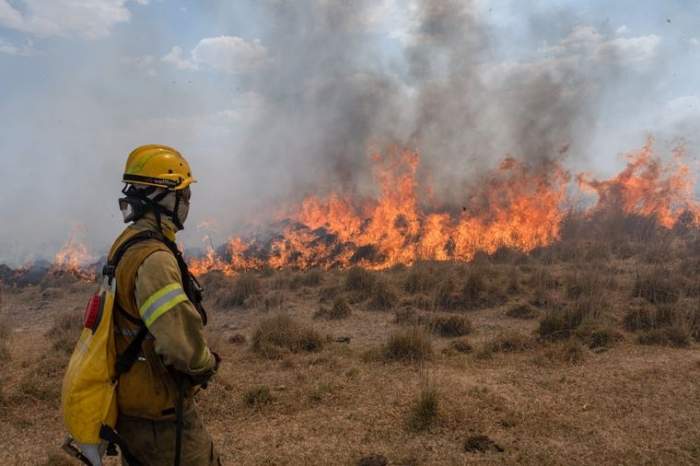 Día del Bombero Voluntario: ¿por qué se celebra el 2 de junio?