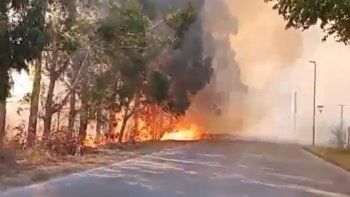 Irresponsabilidad: la mayoría de los incendios en Corrientes son provocados por negligencia humana