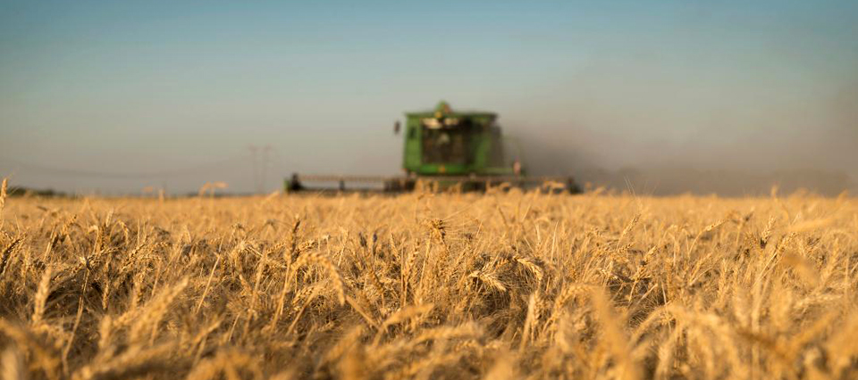 Créditos para Trigo y Pasturas Invernales 2019: El jueves llegarán a Esquina representantes de Provincia