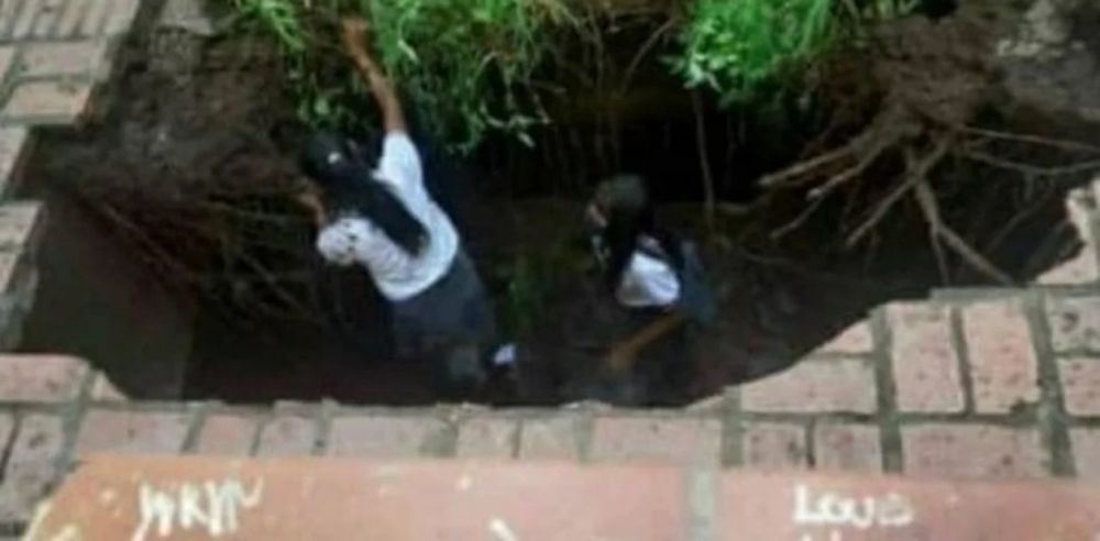 Susto en un colegio: el piso del patio se abrió y tres nenas cayeron