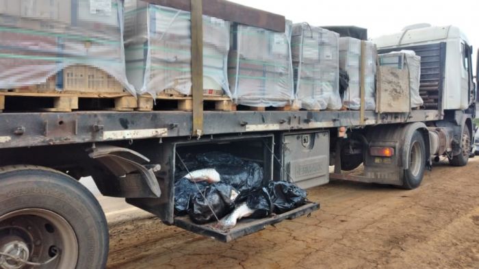Llevaban contrabando de pescados ocultos en un camión