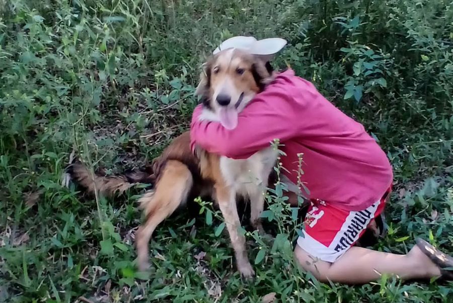 Final feliz: encontraron a Pancho, el perro que estuvo perdido tres días en la zona de Isla