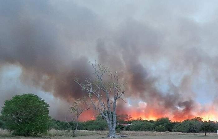 Calor y baja humedad en Corrientes: alertan por incendios