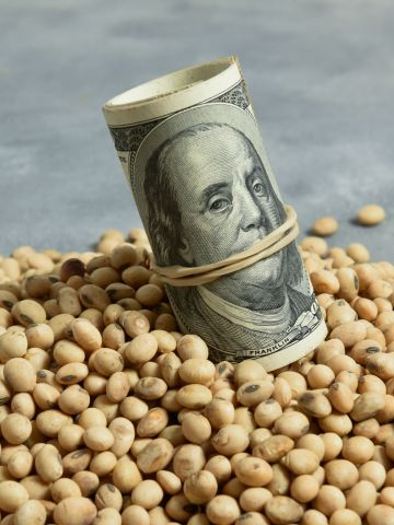 Nuevo dólar soja: durante septiembre estará a $200 y la tonelada cotizará arriba de los $70 mil