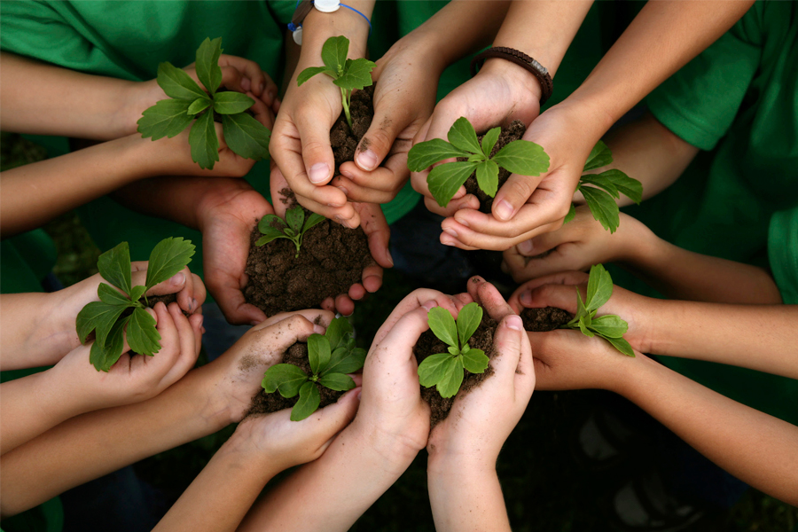 Día Mundial del Medio Ambiente