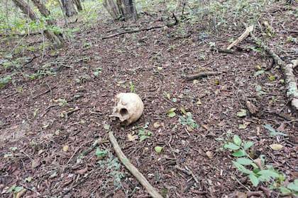 Encontraron el cráneo de una persona adulta en Paso de los Libres