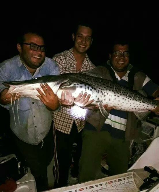 Fiesta Nacional del Surubí: un pescador de Reconquista sacó la pieza mayor