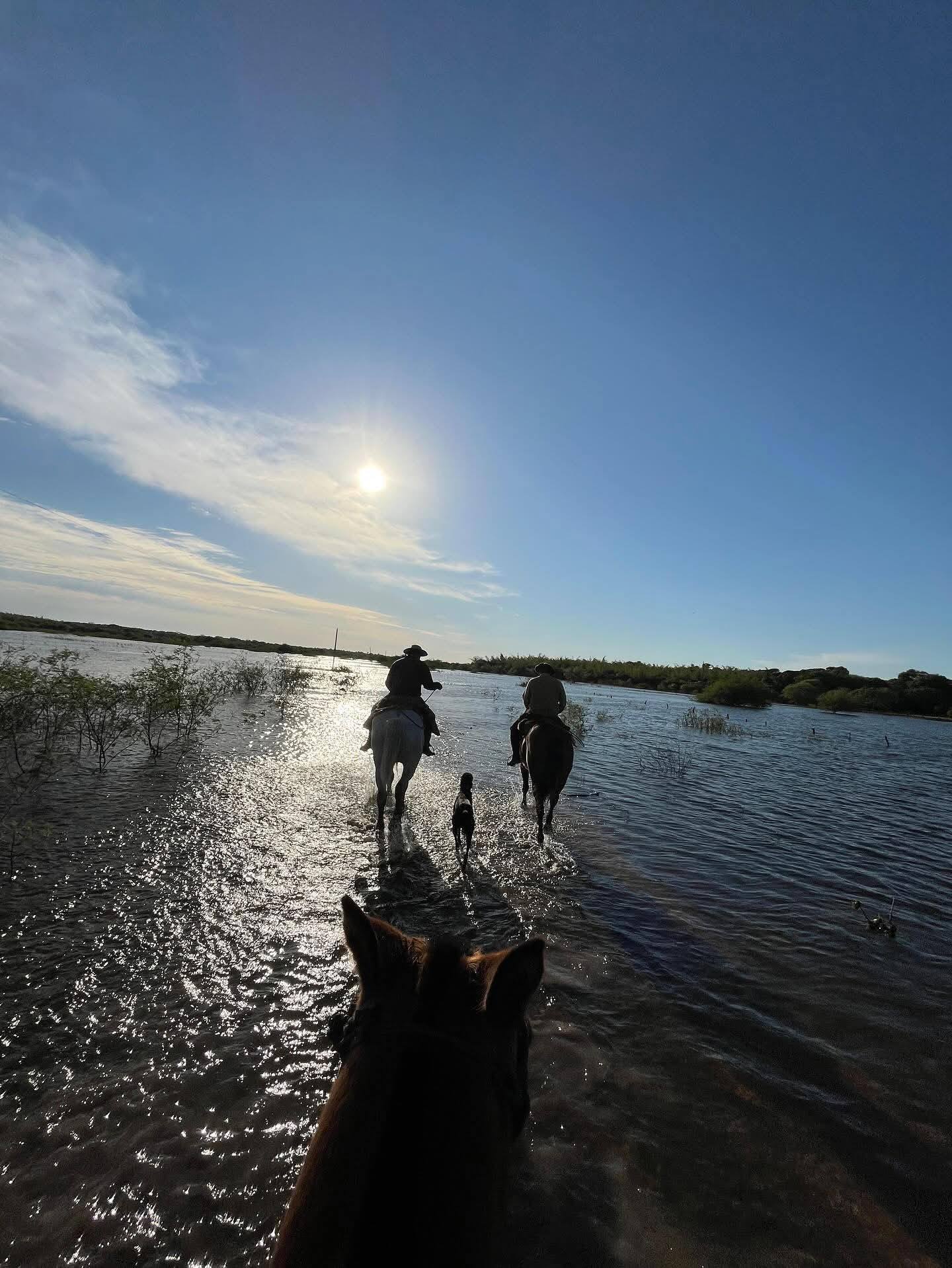 Familias evacuadas y productores en alerta tras las inundaciones en San Luis del Palmar