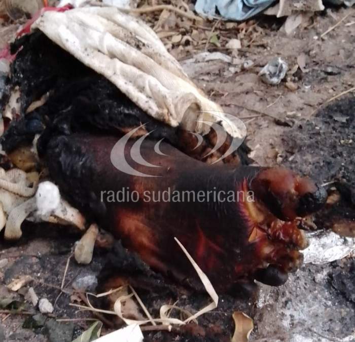 Macabro hallazgo: encontraron una pierna humana en un basural