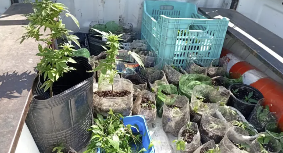 Más de 150 puntos de venta de drogas fueron desarticulados en Corrientes