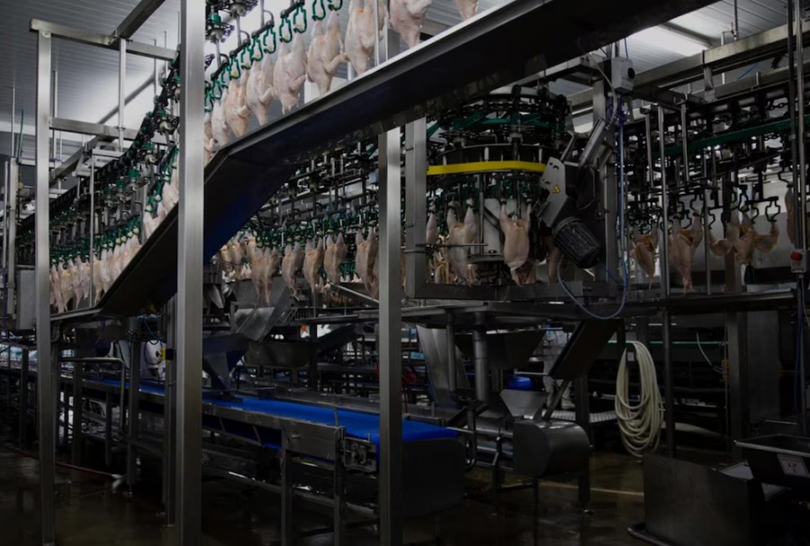 Granja Tres Arroyos ofreció pagar parte de los salarios adeudados con pollos