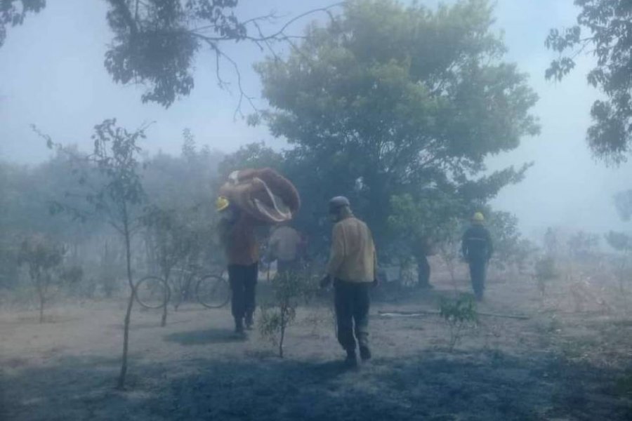 San Miguel: Amenazaron a bomberos mientras combatían un incendio