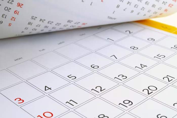 Conocé todos los feriados de agosto: calendario 2025