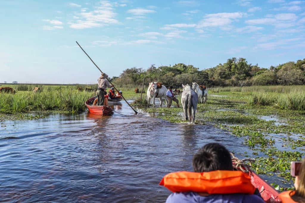 Es Ley la ampliación de superficie del Parque Provincial Iberá