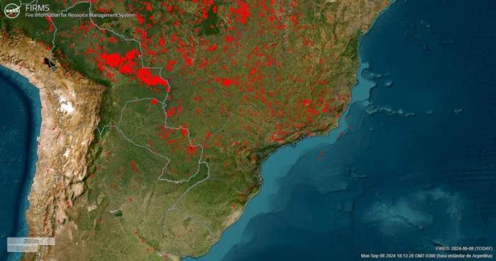 Incendios: "Hay aproximadamente 4 millones de hectáreas afectadas"
