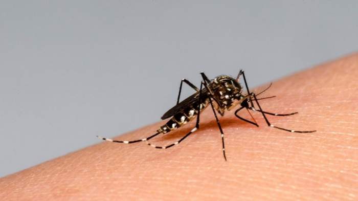 Córdoba: dos personas murieron en la calle por dengue