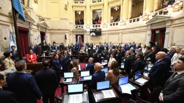 El Senado rechazó los vetos a las leyes de Financiamiento Universitario y de fondos para el Garrahan