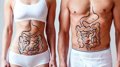 Descubren una fuente inesperada de rejuvenecimiento cerebral: el trasplante fecal