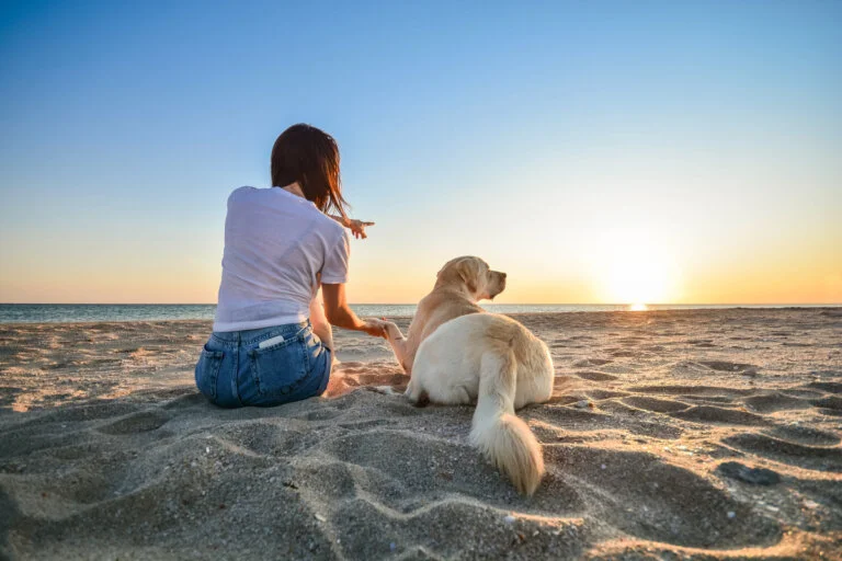 Corrientes habilita este sábado la playa para perros