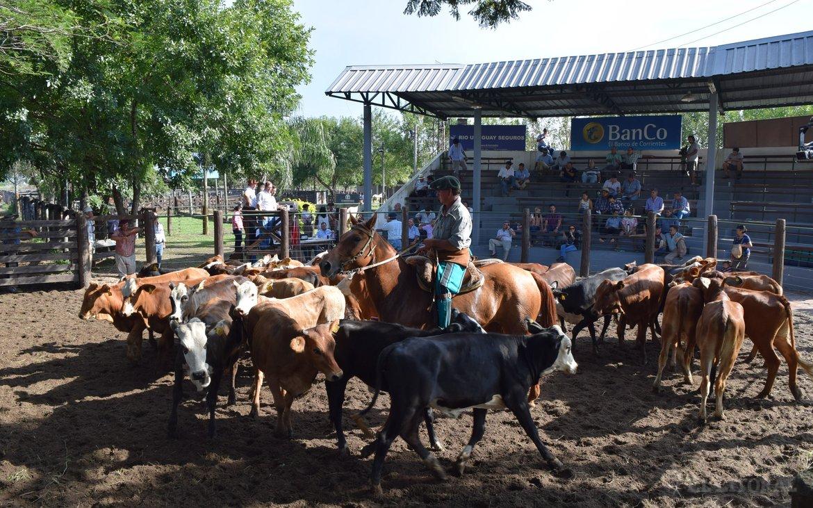 El 24 de abril será el 9° Remate de Pequeños y Medianos Productores de Esquina