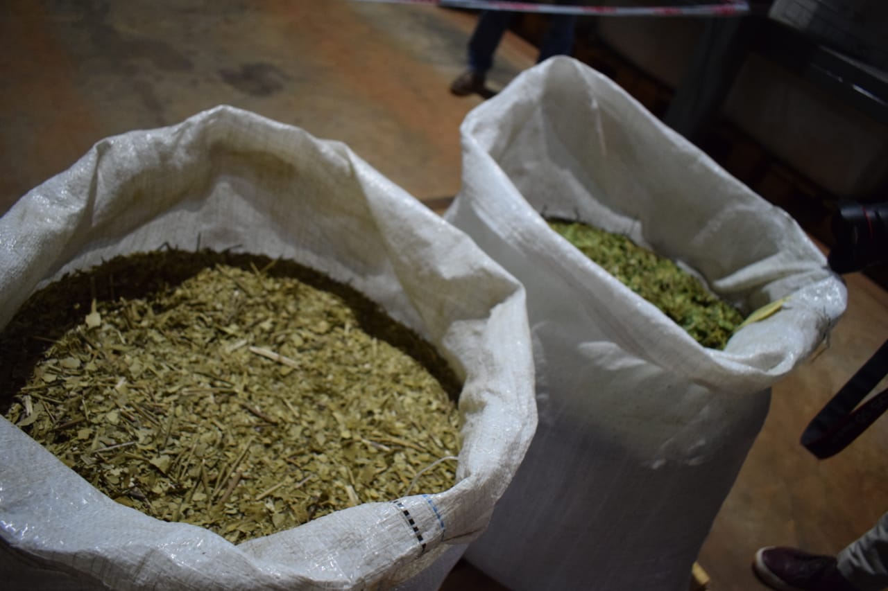 Corrientes: Rechazo a las limitaciones impuestas por el INYM para las plantaciones de yerba mate