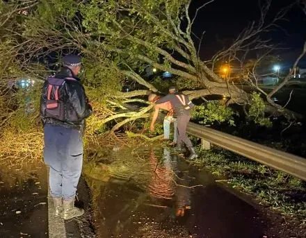 Temporal en Chaco: lluvias intensas, destrozos y un herido en Charata