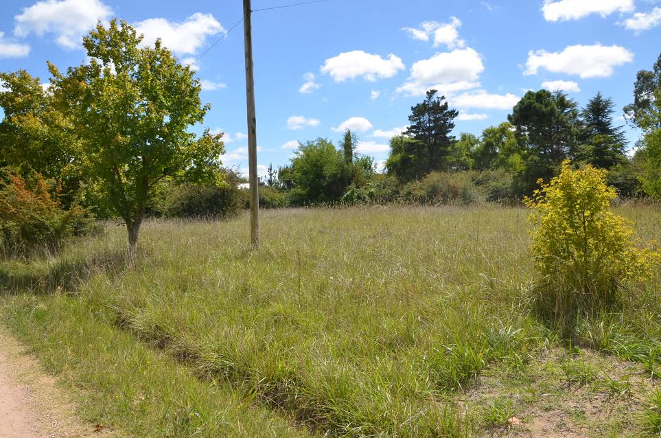 Niño encontrado muerto en Paso de Libres: "La mamá nunca lo cuidó"